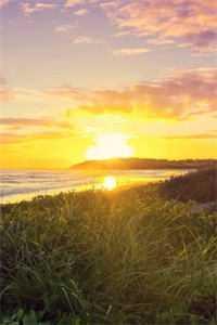 穿越七零福运娇妻靠崽暴富