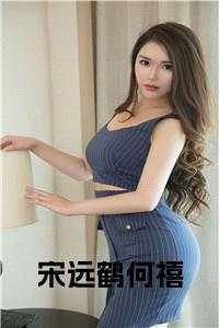 宋远鹤何禧结局