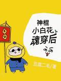 神棍小白花魂穿后gl免费阅读