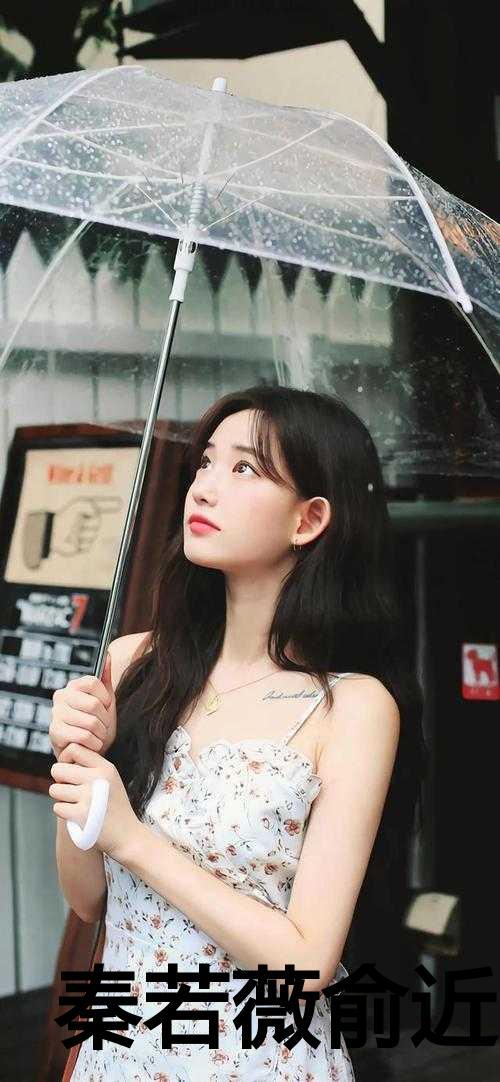 秦若薇俞近全文免费阅读