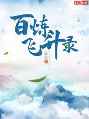 百炼飞升录好不好看