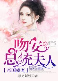 豪门盛宠吻安第一夫人免费阅读