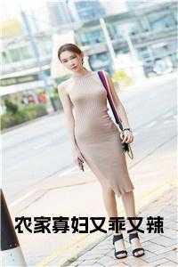 农家小寡妇晋江