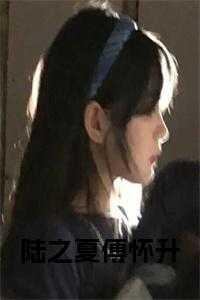 陆之昂写给傅小司的信