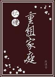 红楼重组家庭无防盗