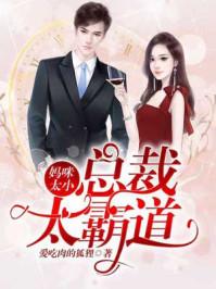 小妈咪总裁的逃妻