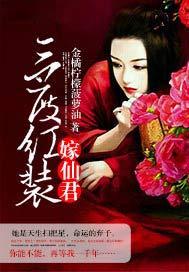 三度红装嫁仙君txt