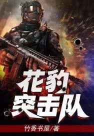 猛豹出击全文免费阅读