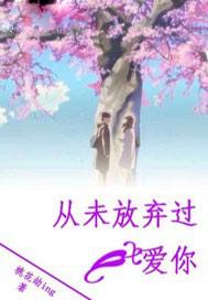 从未放弃过爱你是什么歌