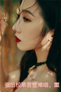 重生后她放弃了作者苏晨曦