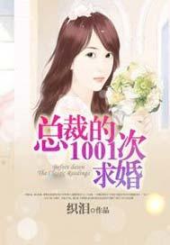 总裁的1001次求婚未修改