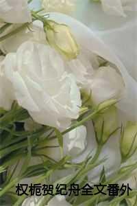 权栀贺纪舟最新章节更新