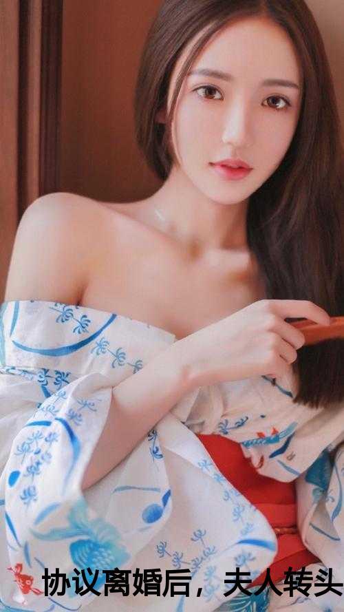 协议离婚后夫人转头改嫁了全文免费观看