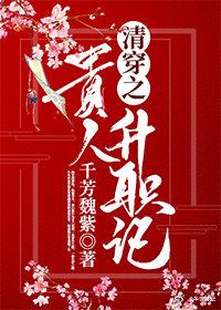 清穿之贵人升职记全文免费阅读
