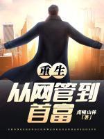 重生当网管做导航网站