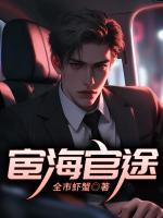 宦海官途超前更新章节