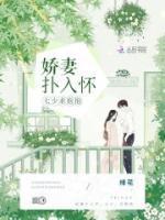 放肆宠作者宗七