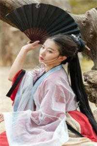 报告夫人整本免费阅读