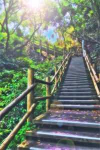 精品扶道仙途全文阅读