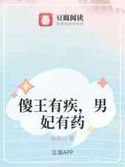 傻王的神医男妃免费阅读全文