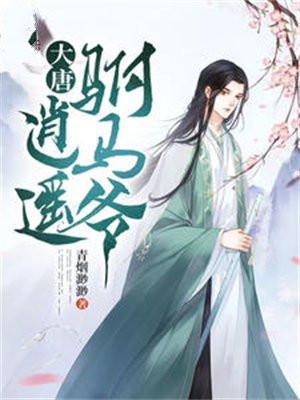 大唐逍遥驸马爷百度