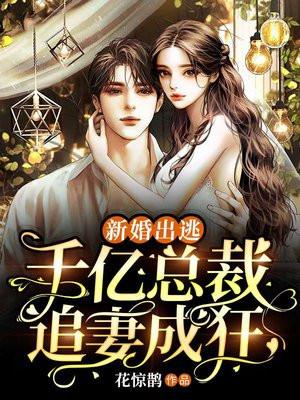 新婚盛宠傲娇总裁要追妻