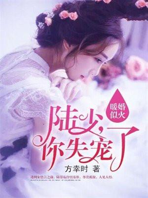 暖婚入骨陆少宠妻太甜蜜