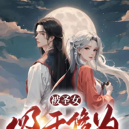 圣女伤害了圣人