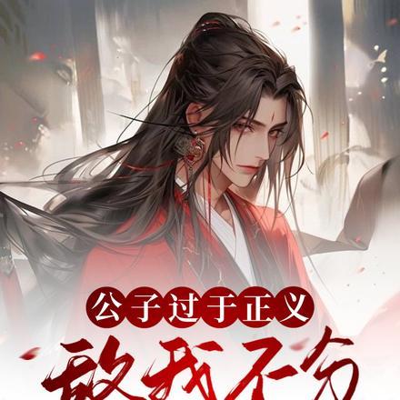 公子太过正义