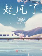 起风了原视频
