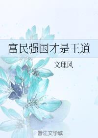 富民强国才是王道文理风免费阅读