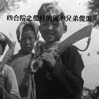 四合院之傻柱的新生