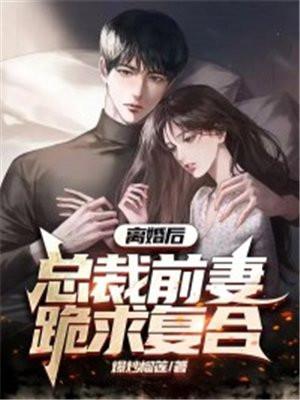 离婚后总裁前妻跪求复合陆尘免费阅读