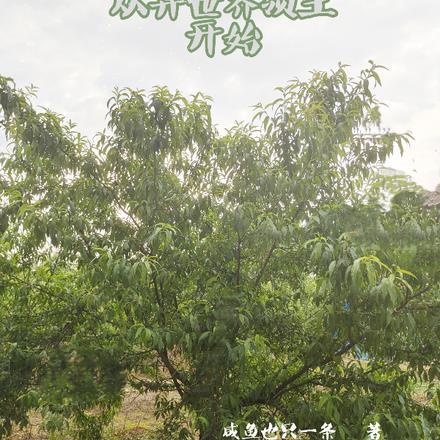 从异世界开始的零生活百度百科