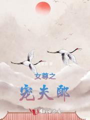 女尊之宠夫(卟许胡来)