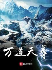 万道天尊第二部