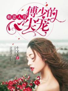 陆少请止步免费阅读