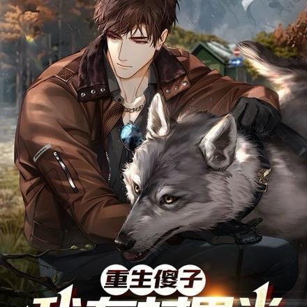 主角重生到一个傻子身上