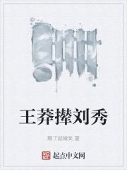 王莽撵刘秀的典故简介