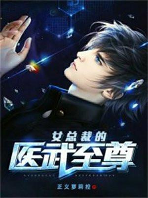 女总裁的医武至尊全集免费