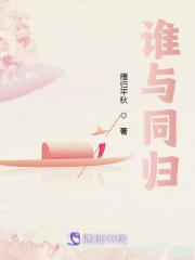 谁与同归上句