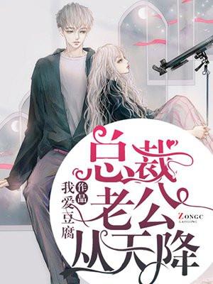 总裁从天降全文免费阅读
