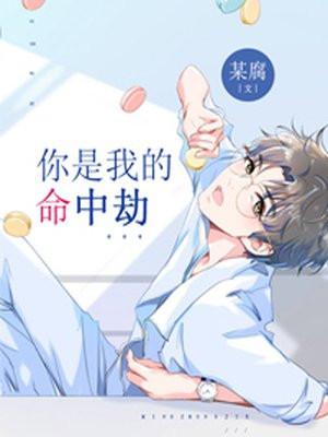 你是我命中的劫数