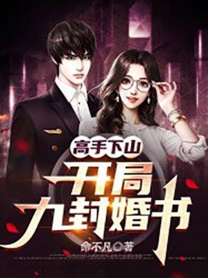 高手下山开局九封婚书TXT