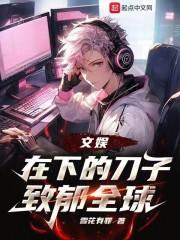 文娱在下的刀子致郁全球无错版