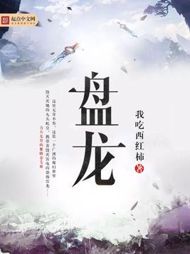 盘龙药业2月10日快速反弹