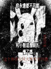 神奇宝贝大师之旅