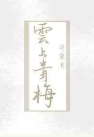云上青梅讲的是什么