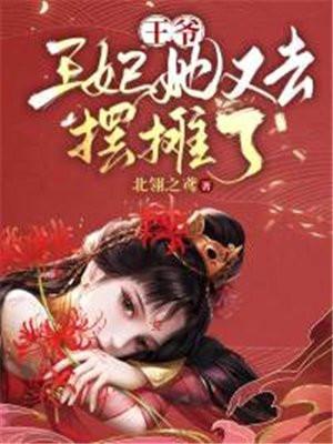 王爷王妃她又去抢劫了