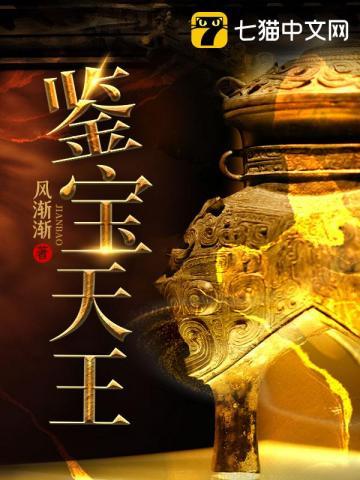 鉴宝天王TXT全集免费